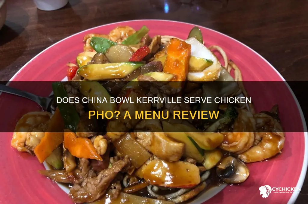 does china bowl kerrville have chicken pho