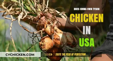 Is Tyson Chicken Owned by China? Unraveling the Truth in the USA