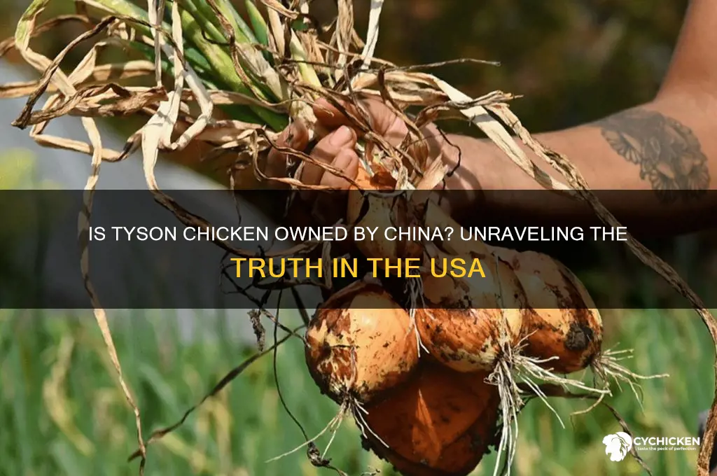 does china own tyson chicken in usa