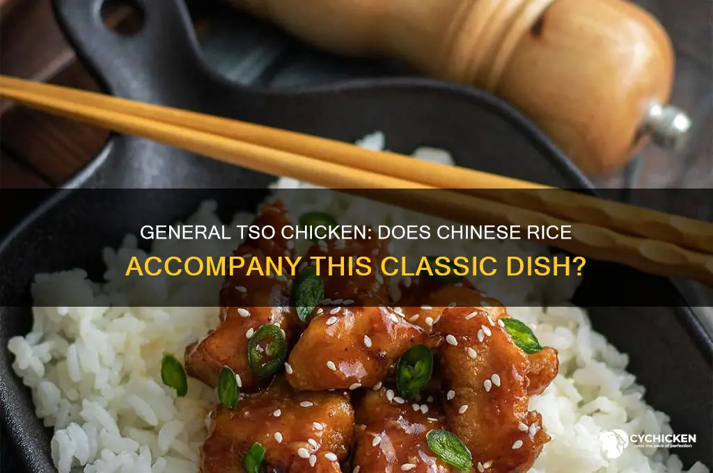 does chinese rice come with general tso chicken