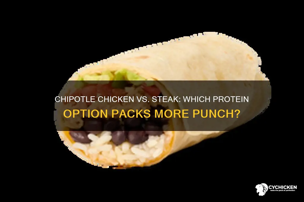 does chipotle chicken or steak have more protein