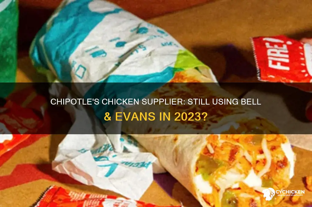 does chipotle still us bell and evans chicken