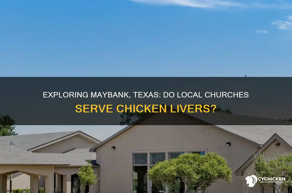 does churches have chicken livers in maybank tex