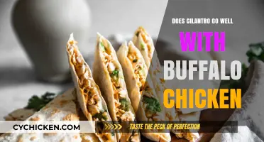 Cilantro and Buffalo Chicken: A Flavor Match Made in Heaven?