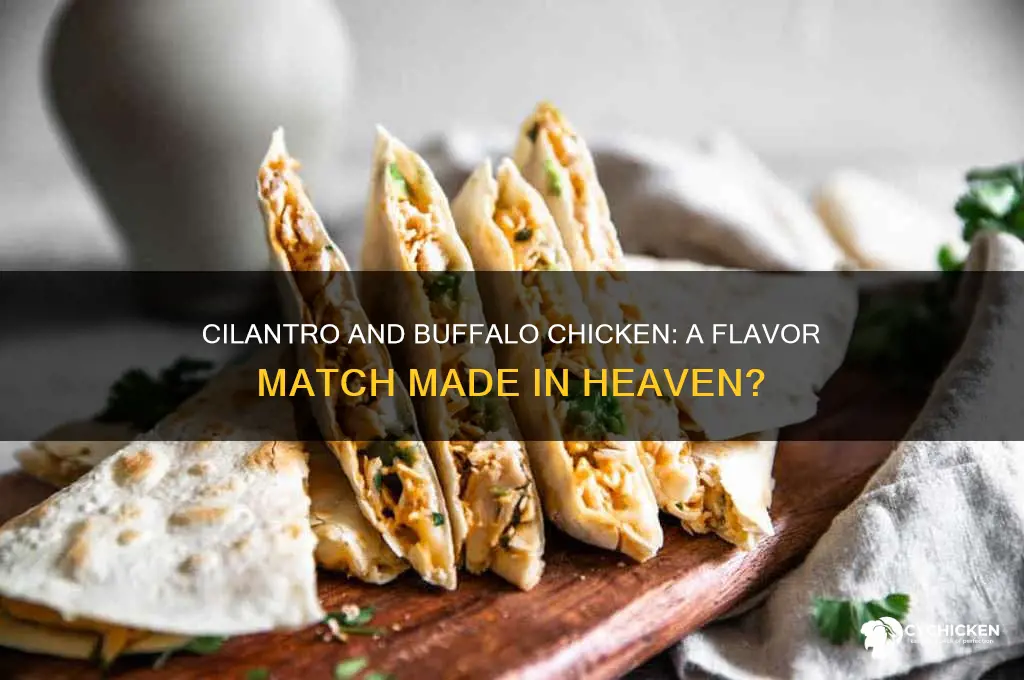 does cilantro go well with buffalo chicken