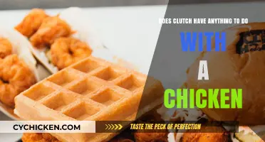 The Clutch and Chicken Connection: What's the Deal?