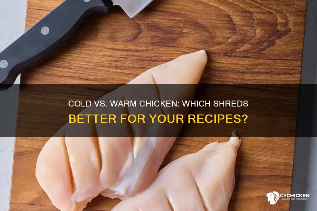 does cold chicken or wartm shred better