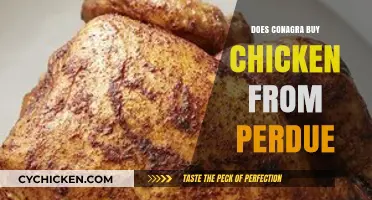Does Conagra Source Chicken from Perdue? Uncovering the Truth