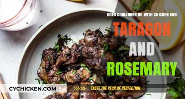 Herbs for Chicken: Coriander, Tarragon, Rosemary — Do They Blend?