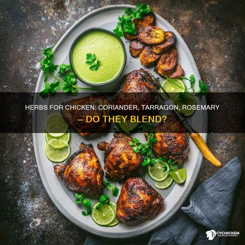 does coriander go with chicken and taragon and rosemary