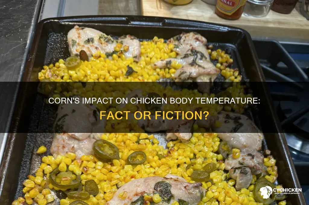 does corn raise a chicken