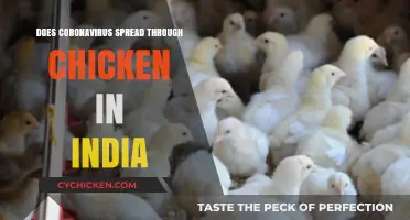 Coronavirus and Chicken in India: Separating Fact from Fiction