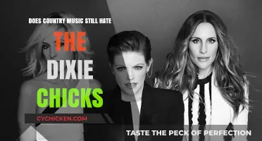 Dixie Chicks' Legacy: Does Country Music Still Hold a Grudge?