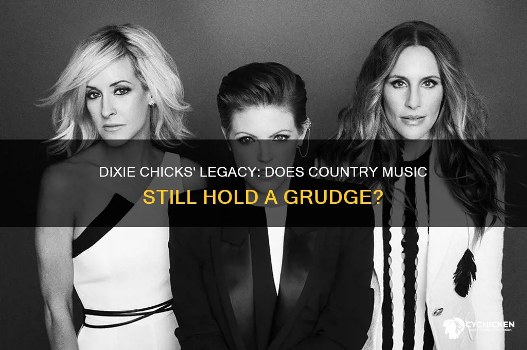 does country music still hate the dixie chicks