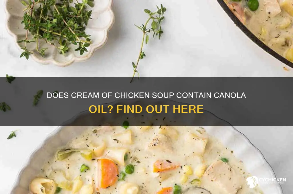 does cream of chicken have canola oil