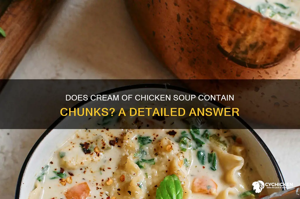 does cream of chicken have chunks in it