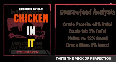 Does Crude Fat Contain Chicken? Unraveling the Ingredients Mystery