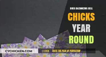 Does D&Z Amzws Offer Chicks Year-Round? A Buyer's Guide