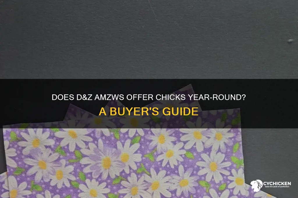 does d&zamzws sell chicks year round