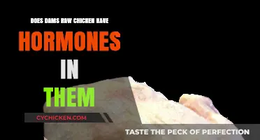Does Dams Raw Chicken Contain Hormones? Uncovering the Truth