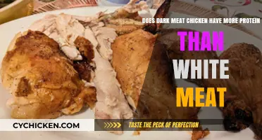 Chicken Protein: Dark Meat vs. White Meat