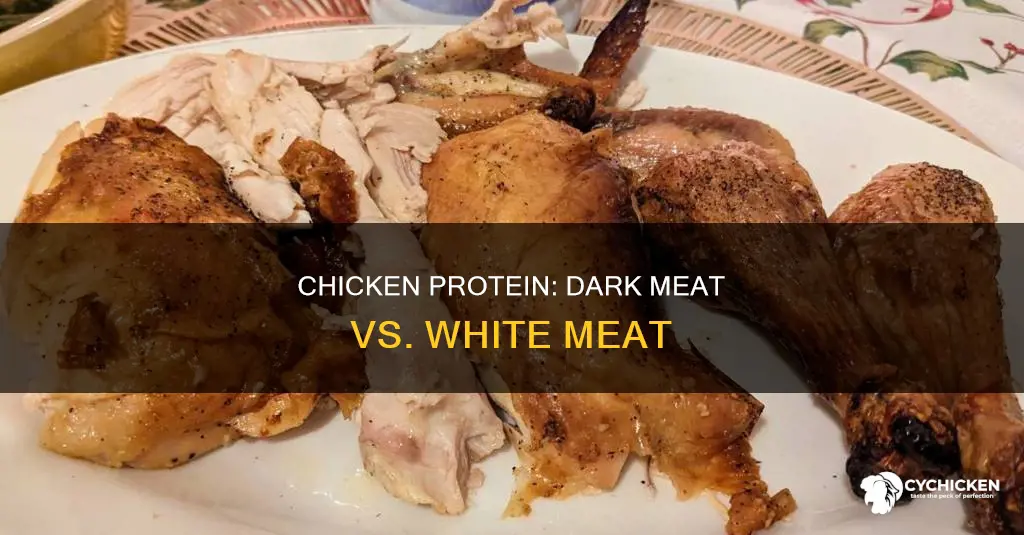 does dark meat chicken have more protein than white meat