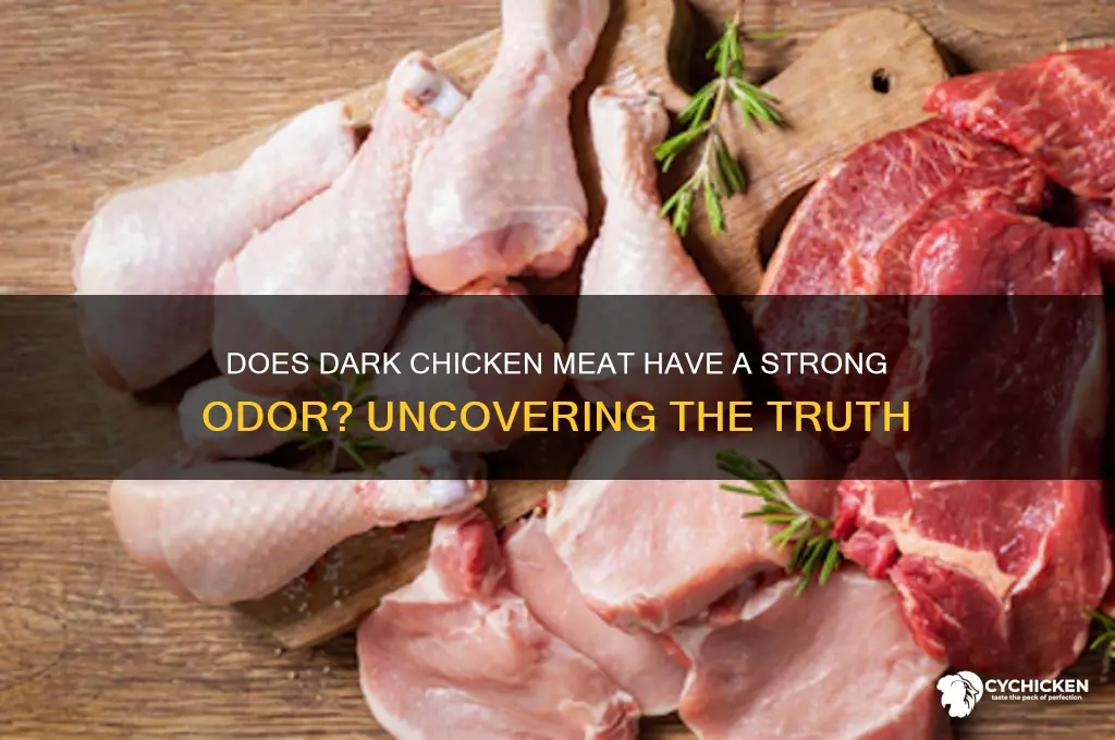 does darl meat of chicken smell strong