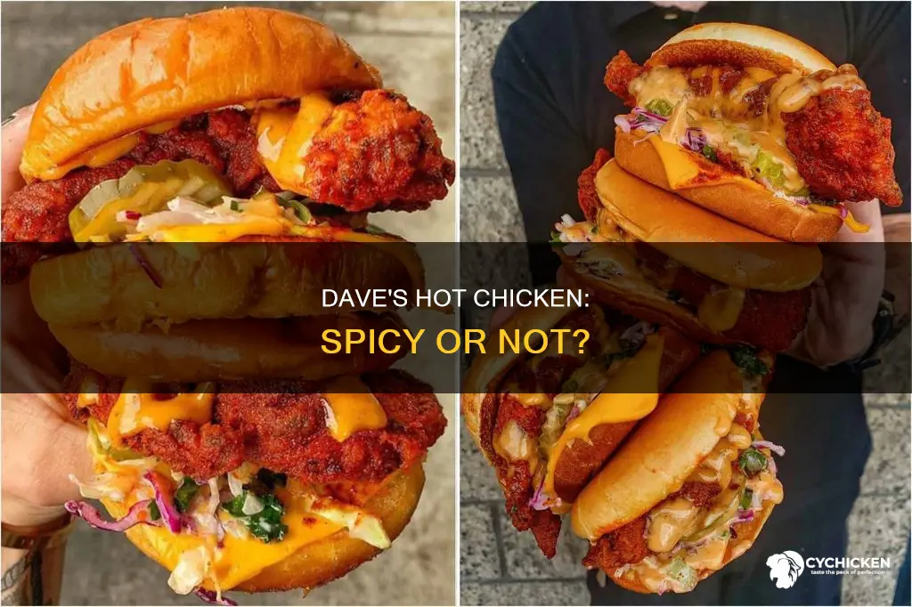 does dave