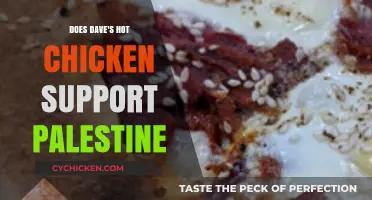 Does Dave's Hot Chicken Support Palestine? Uncovering the Truth