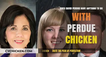 David Perdue: Any Connection to Perdue Chicken?