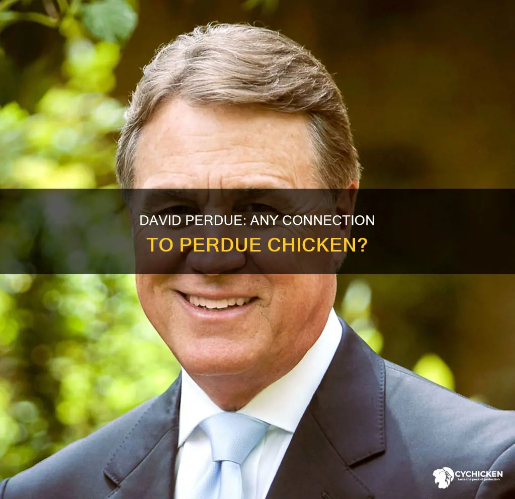 does david perdue have anything to do with perdue chicken