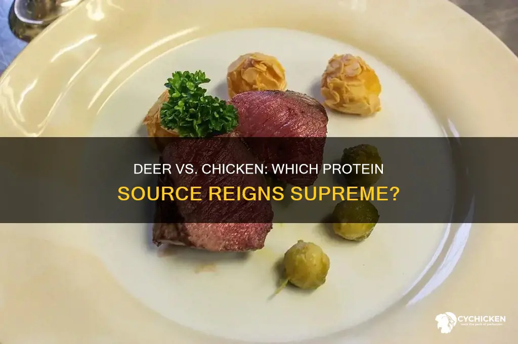 does deer have more protein than chicken