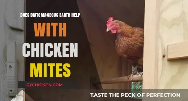 Diatomaceous Earth for Chicken Mites: Effective Solution or Myth?