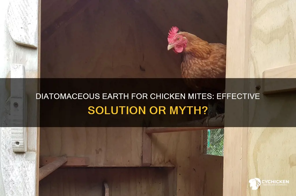 does diatomaceous earth help with chicken mites