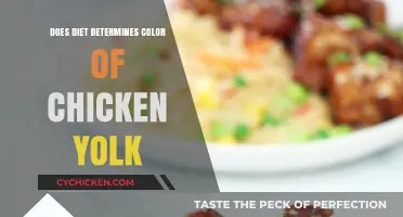 Diet's Role in Chicken Yolk Color: Myth or Reality?