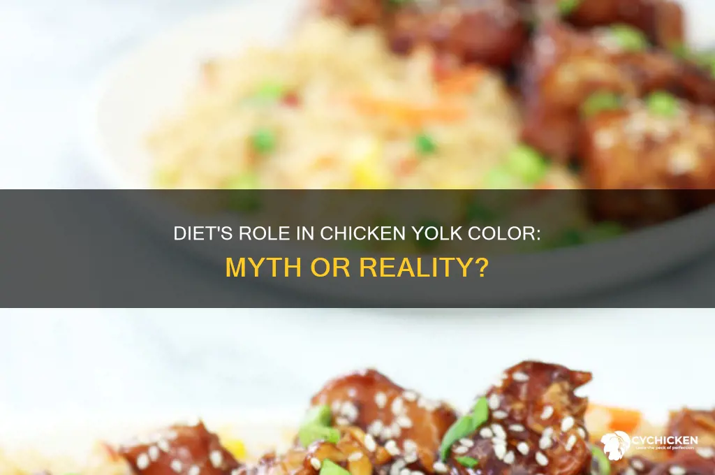 does diet determines color of chicken yolk