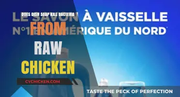 Can Dish Soap Effectively Kill Bacteria from Raw Chicken? Find Out