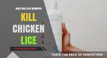 Can Dog Flea Shampoo Effectively Eliminate Chicken Lice? Find Out Here