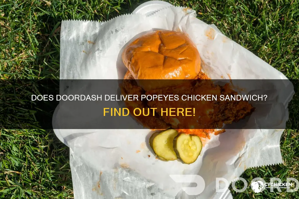 does doordash have popeyes chicken sandwich