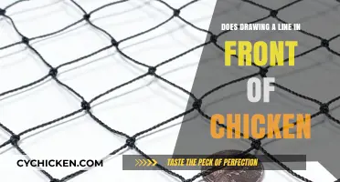 Does Drawing a Line Stop Chickens? Unraveling the Myth and Facts