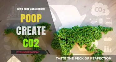 Do Duck and Chicken Droppings Contribute to CO2 Emissions?