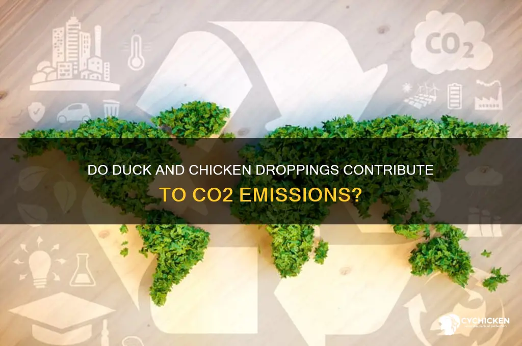 does duck and chicken poop create co2