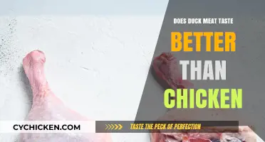 Duck vs. Chicken: Which Poultry Reigns Supreme in Flavor?