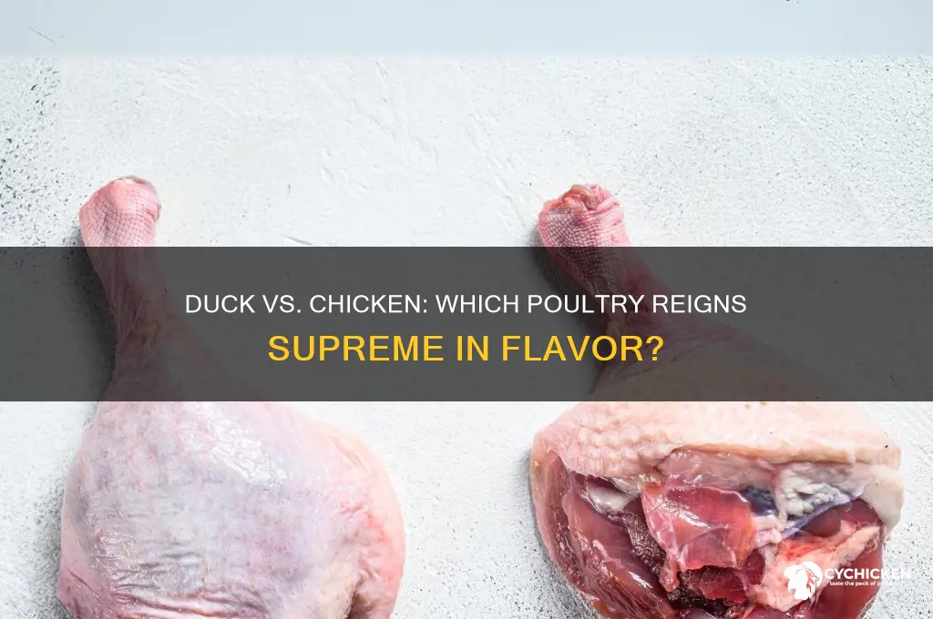 does duck meat taste better than chicken