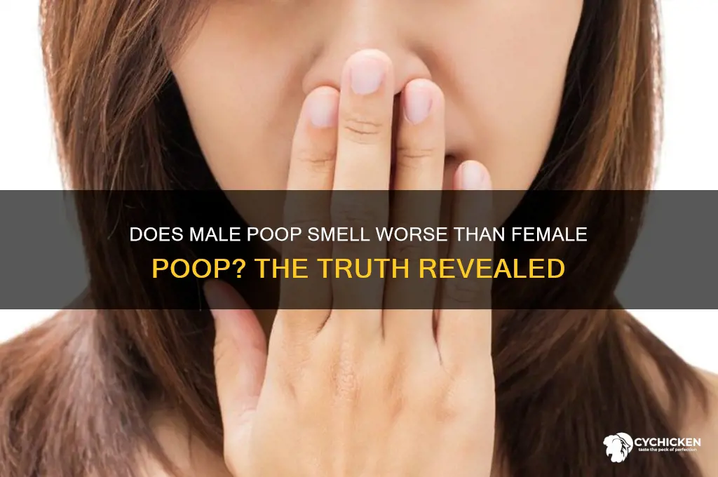 does dude poop stink worse than chick poop