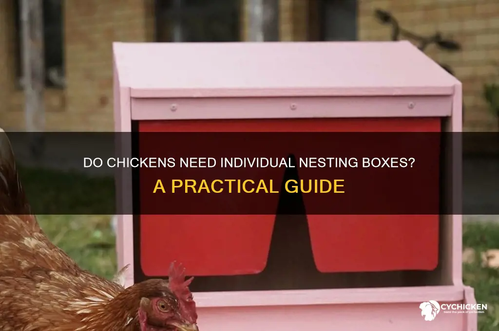 does each chicken need its own nesting box