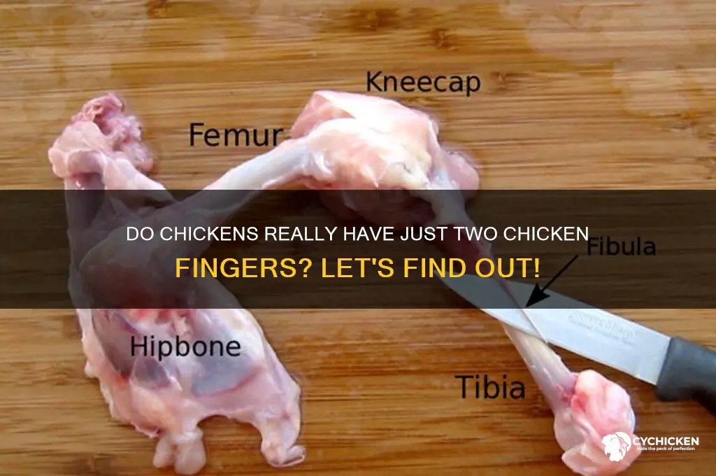 does each chicken only have two chicken fingers