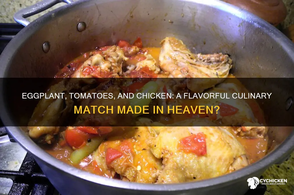 does eggplant go with tomatoes and chicken