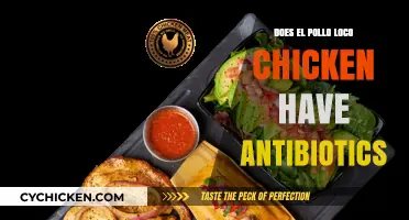 El Pollo Loco Chicken: Antibiotic-Free or Not? The Truth Revealed