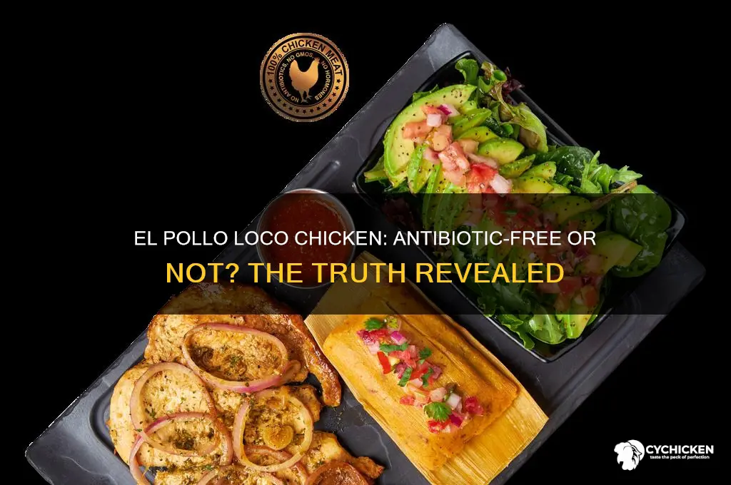 does el pollo loco chicken have antibiotics